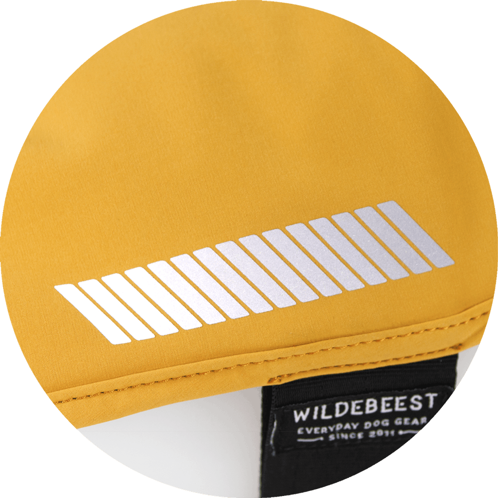All Weather Dog Jacket