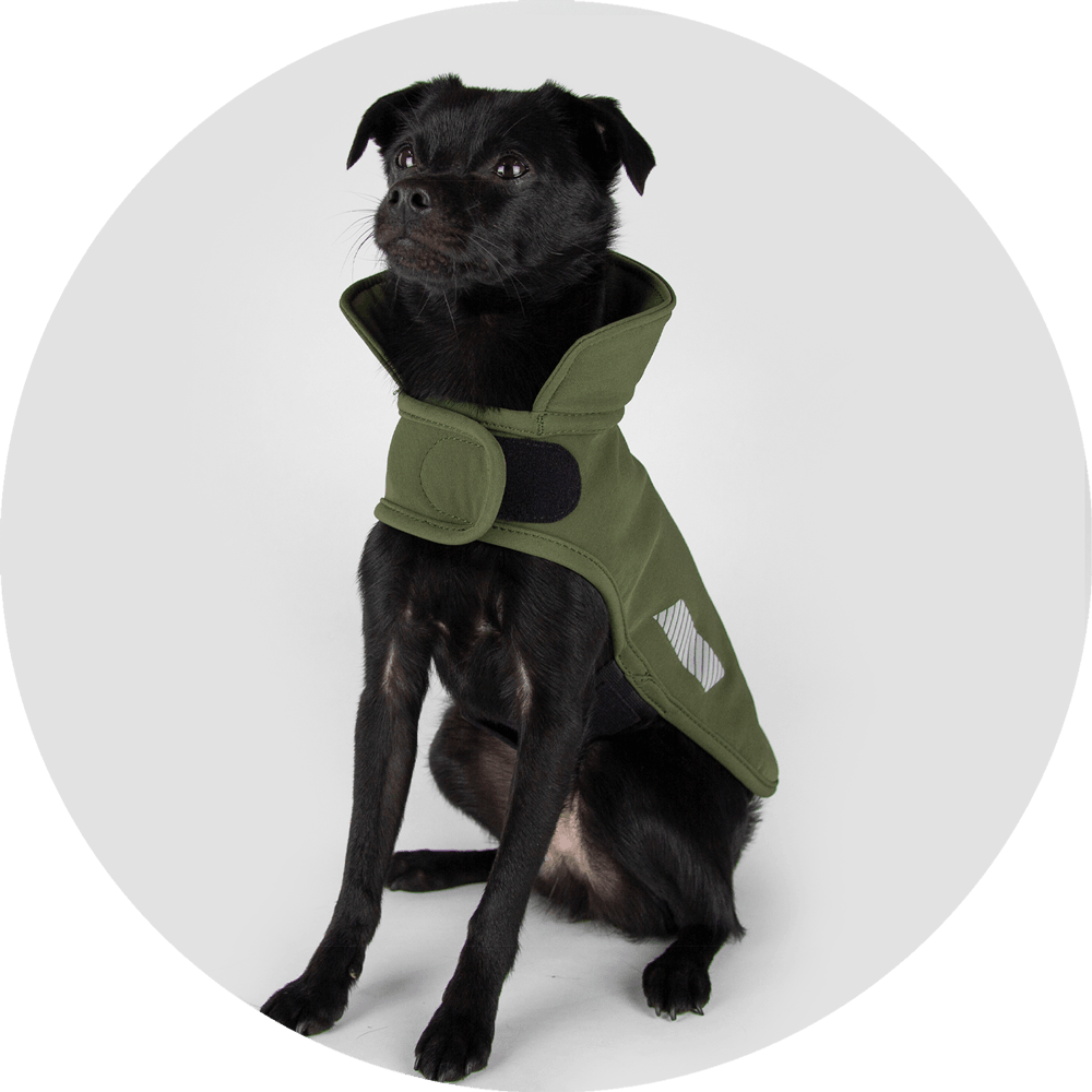 All Weather Dog Jacket