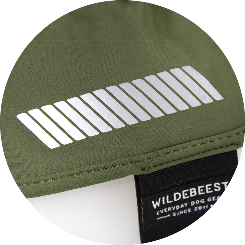 All Weather Dog Jacket