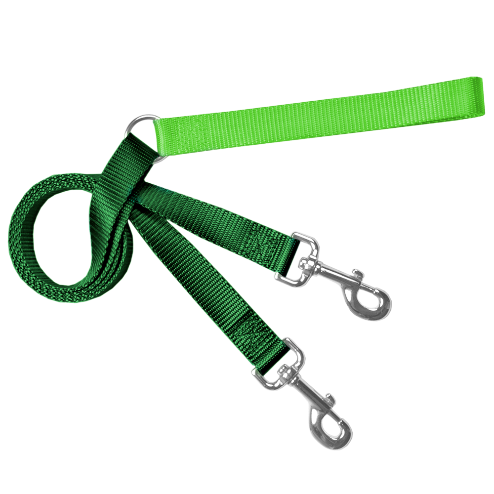 Training Leash