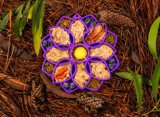 Raw Instincts lamb and sardine blend in a purple flower shaped lick mat with blueberries and an egg yolk center, on pine needles.