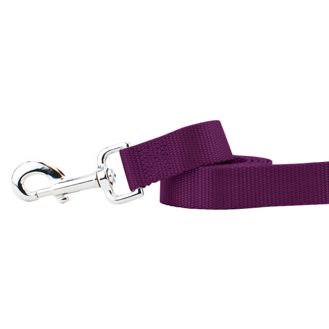 Burgundy Nylon Dog Leash by 2 Hounds Design, sold through Sniff and Shift