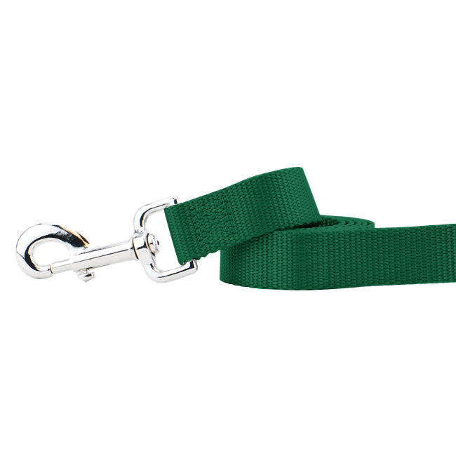 Kelly Green Nylon Dog Leash by 2 Hounds Design, sold through Sniff and Shift