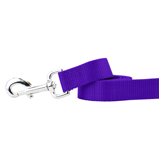 Purple Nylon Dog Leash by 2 Hounds Design, sold through Sniff and Shift