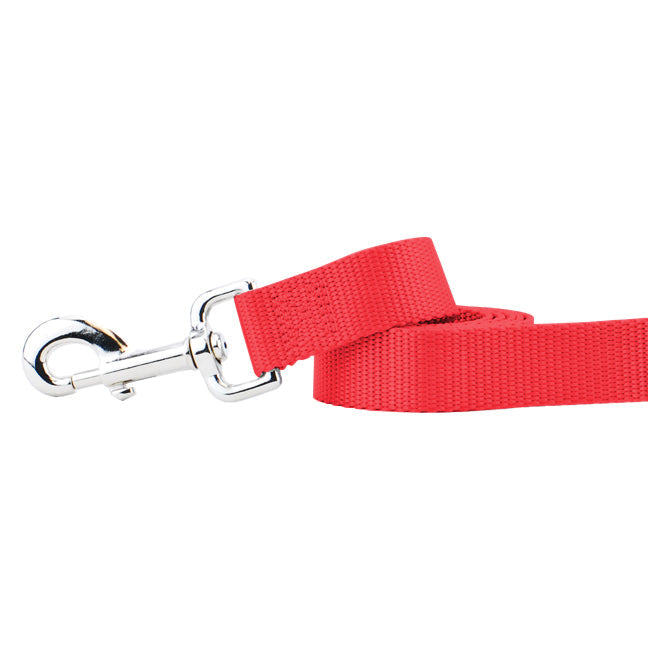 Red Nylon Dog Leash by 2 Hounds Design, sold through Sniff and Shift