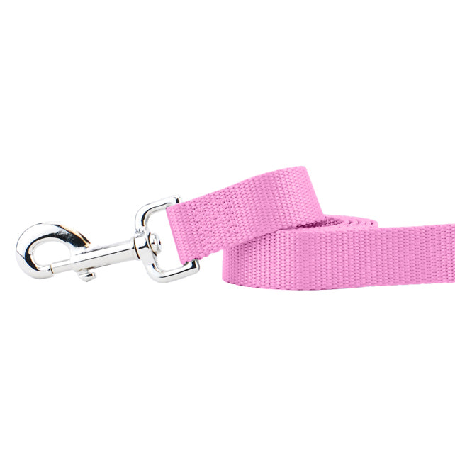Rose Pink Nylon Dog Leash by 2 Hounds Design, sold through Sniff and Shift