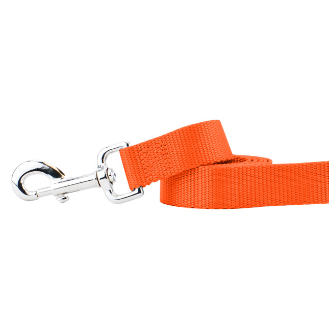 Rust Nylon Dog Leash (1″ only) by 2 Hounds Design, sold through Sniff and Shift