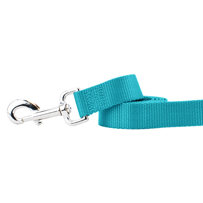 Teal Nylon Dog Leash by 2 Hounds Design, sold through Sniff and Shift