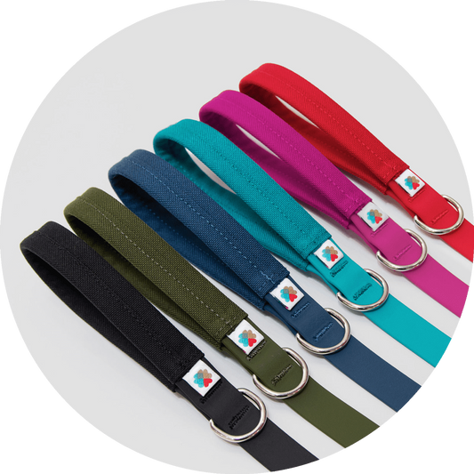 Funston Waterproof Dog Leash in six colors, 4 and 6 foot lengths, Wildebeest, sold through Sniff and Shift