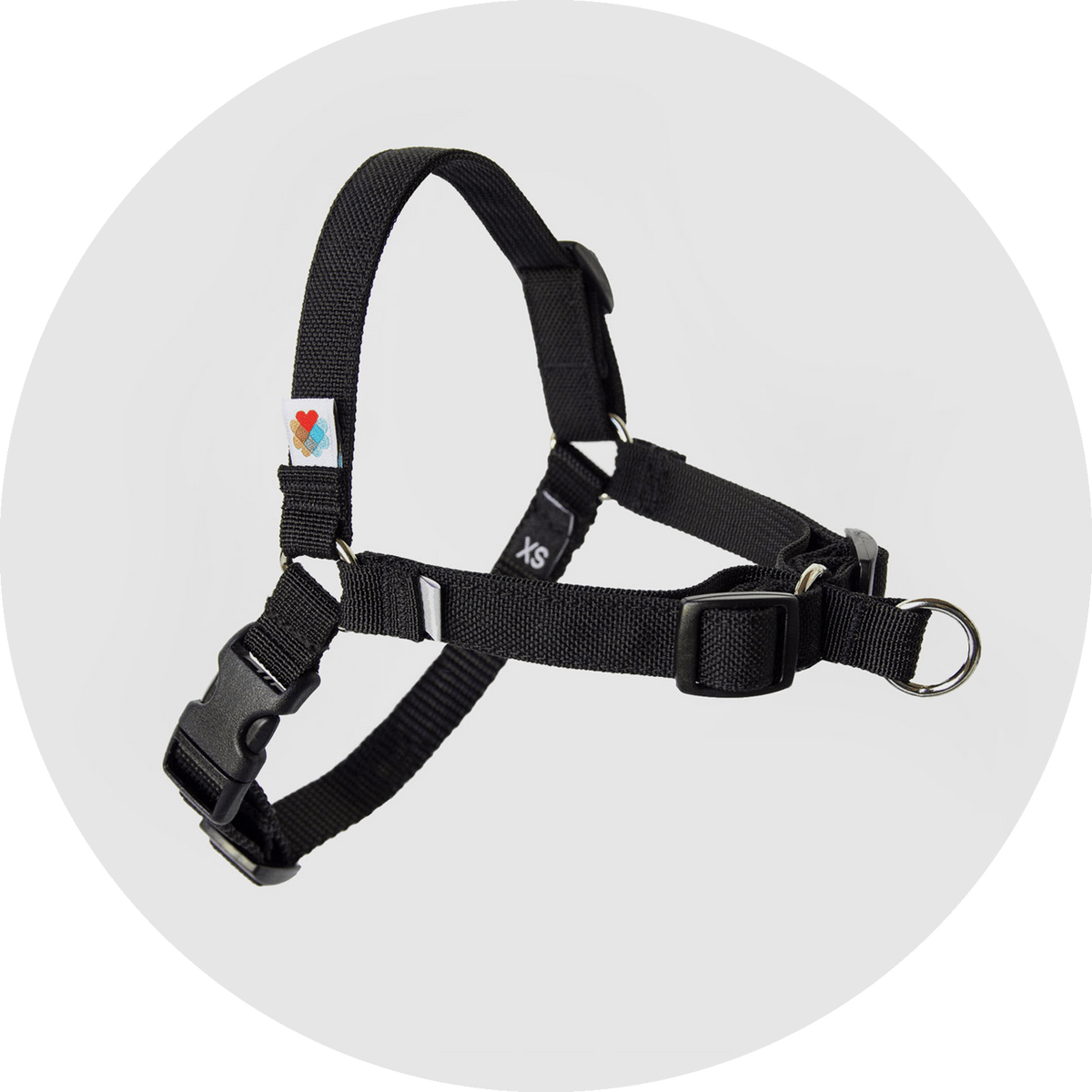 Linden No-Pull Dog Harness