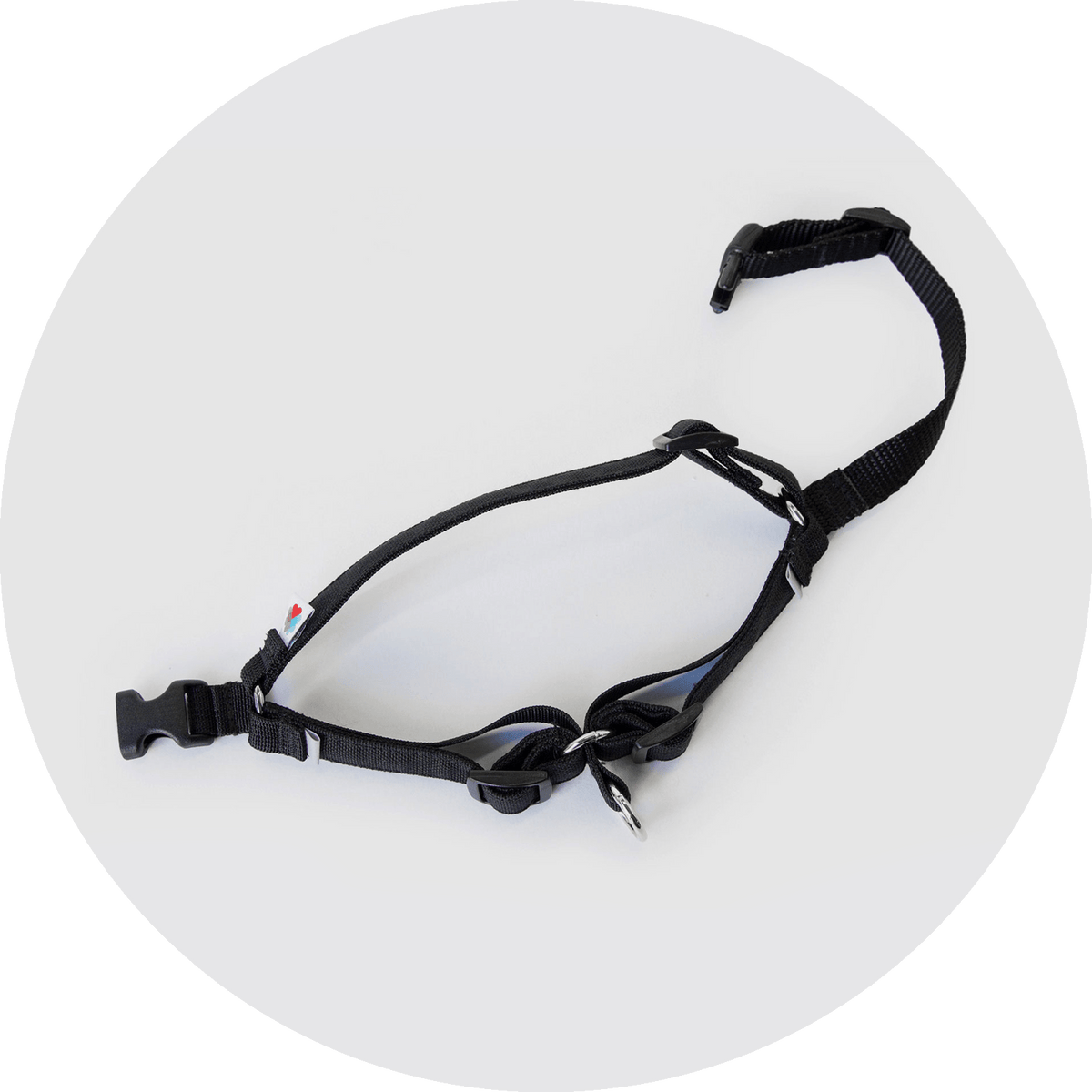 Linden No-Pull Dog Harness