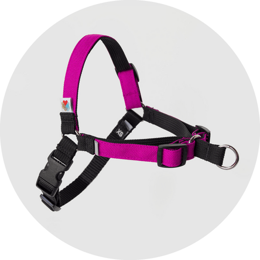 Linden No-Pull Dog Harness in six colors, sizes XS to XL, Wildebeest, sold through Sniff and Shift