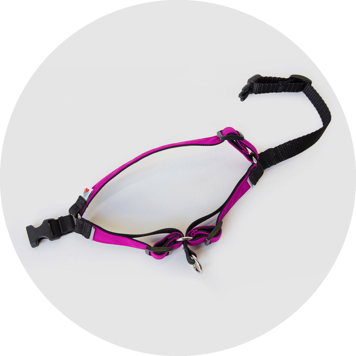 Linden No-Pull Dog Harness