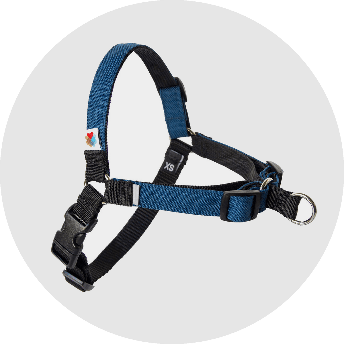 Linden No-Pull Dog Harness