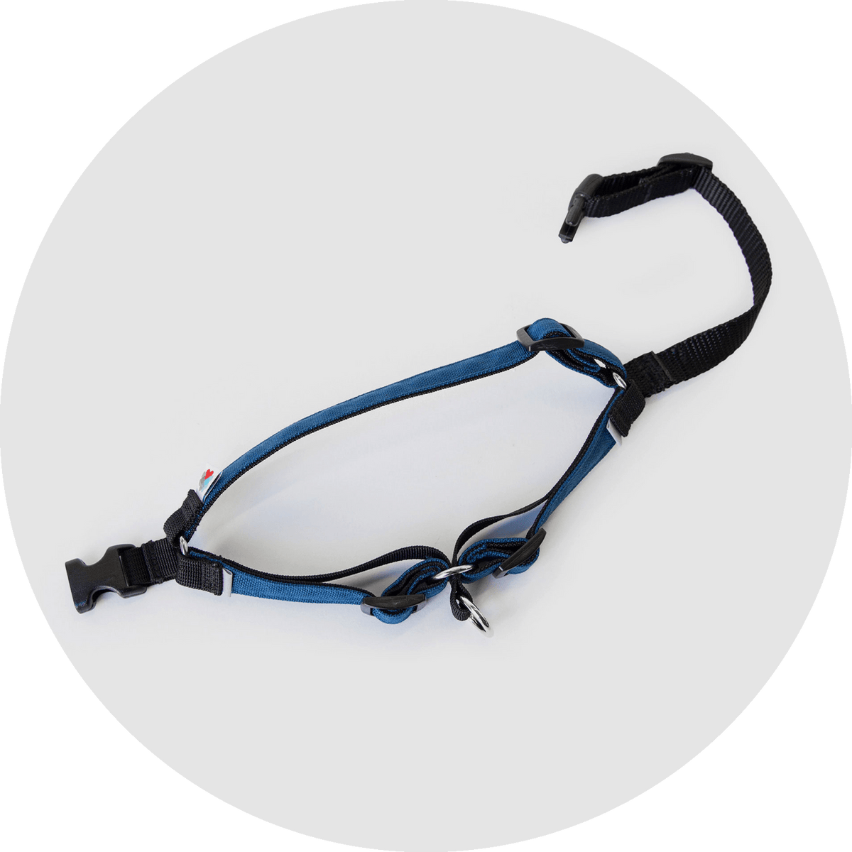 Linden No-Pull Dog Harness