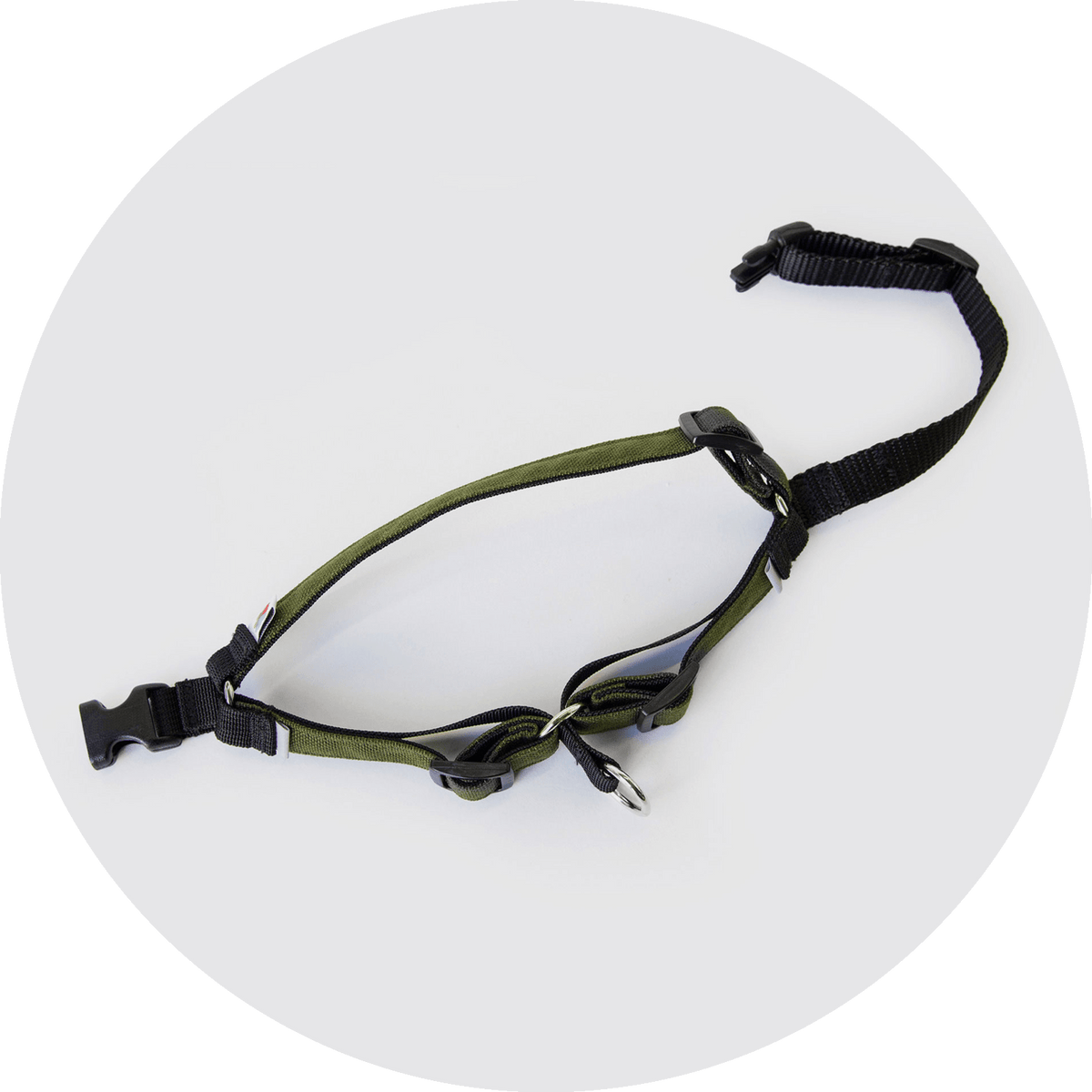 Linden No-Pull Dog Harness