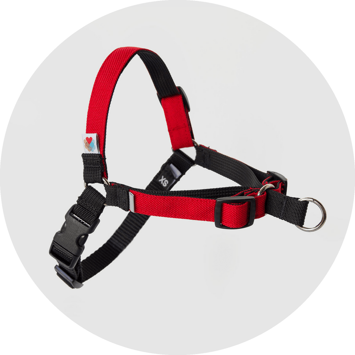 Linden No-Pull Dog Harness