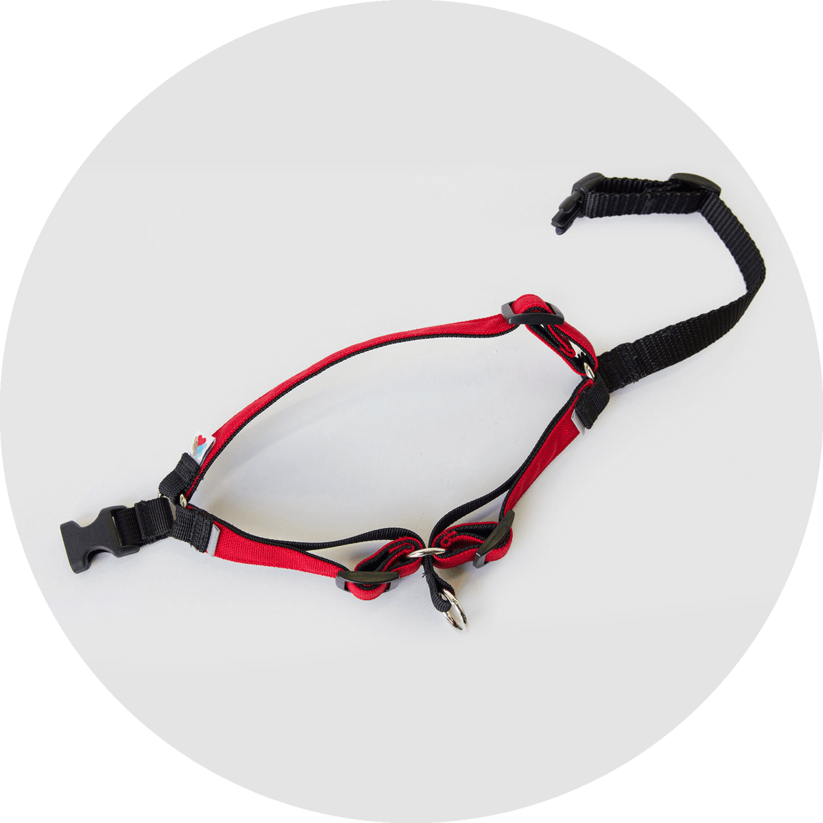 Linden No-Pull Dog Harness