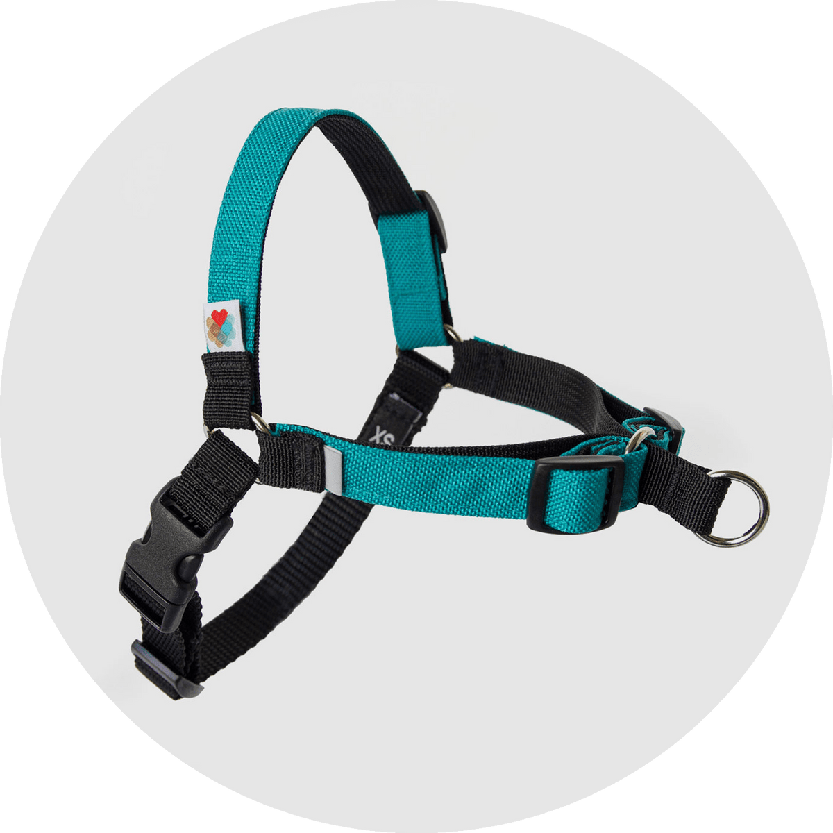 Linden No-Pull Dog Harness