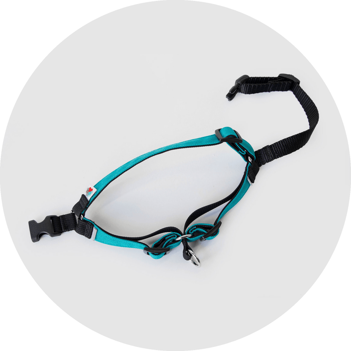 Linden No-Pull Dog Harness