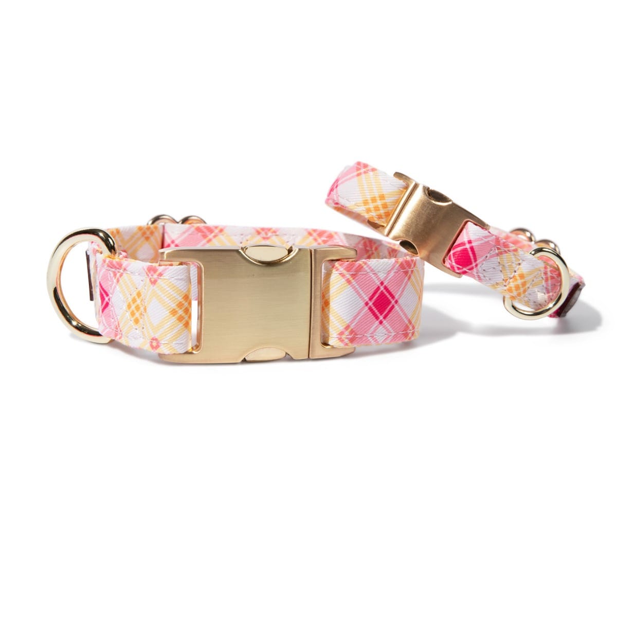 Lottie Dog Collar in bold plaid, sizes XS to L, Pink Papyrus Co., sold through Sniff and Shift