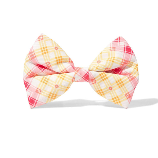 Lottie Dog Bow Tie in yellow and pink gingham plaid, Pink Papyrus Co., sold through Sniff and Shift