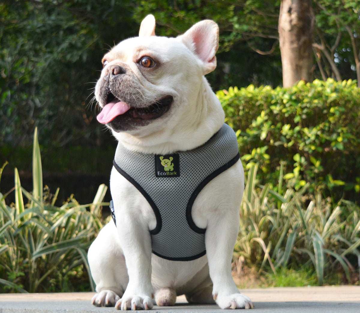 Over-the-Head Dog Harness, Vest Halter, Gray