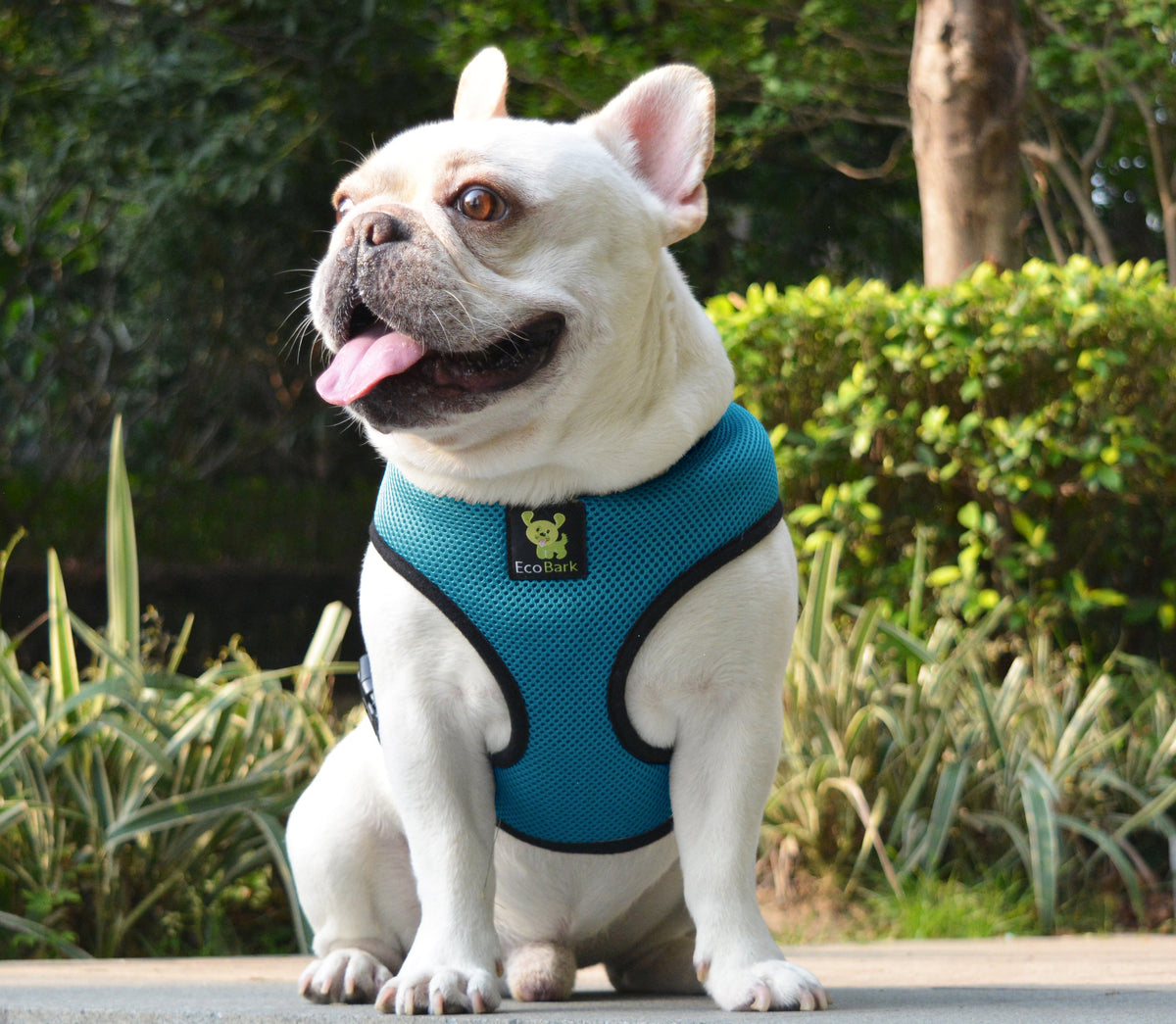 Teal Over-the-Head Dog Harness, Vest Halter, XS to XX-Large