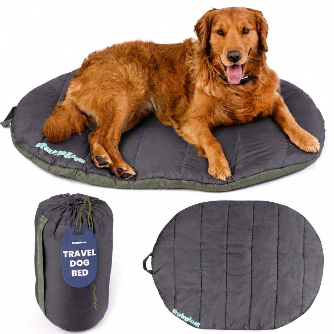 Travel Dog Bed, Foldable and Packable for Road Trip, Camping