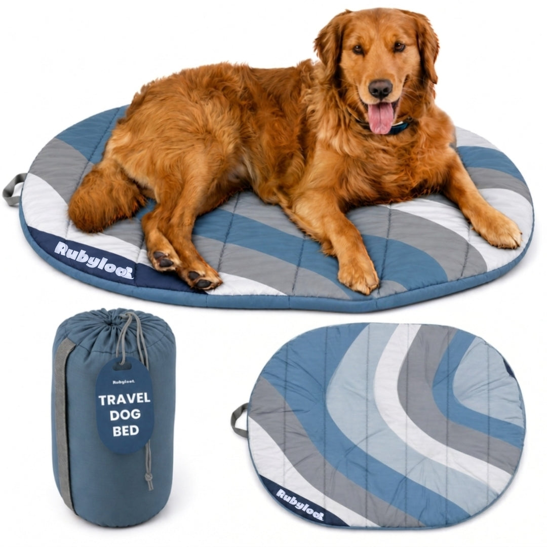 Travel Dog Bed, Foldable and Packable for Road Trip, Camping