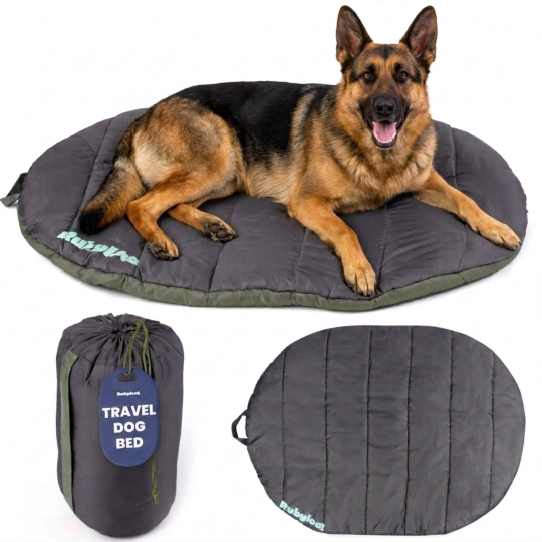 Travel Dog Bed, Foldable and Packable for Road Trip, Camping