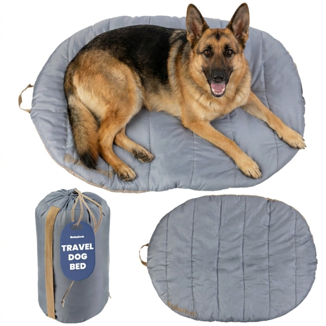 Travel Dog Bed, Foldable and Packable for Road Trip, Camping