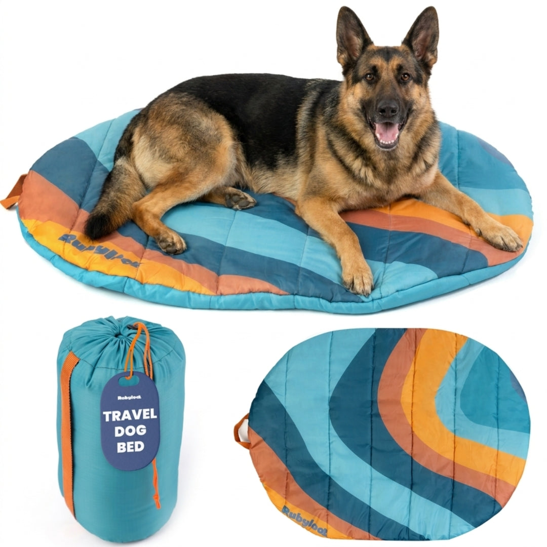 Travel Dog Bed, Foldable and Packable for Road Trip, Camping