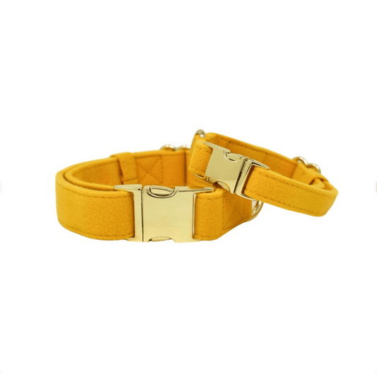 Nova Dog Collar in mustard yellow, Pink Papyrus Co., sold through Sniff and Shift