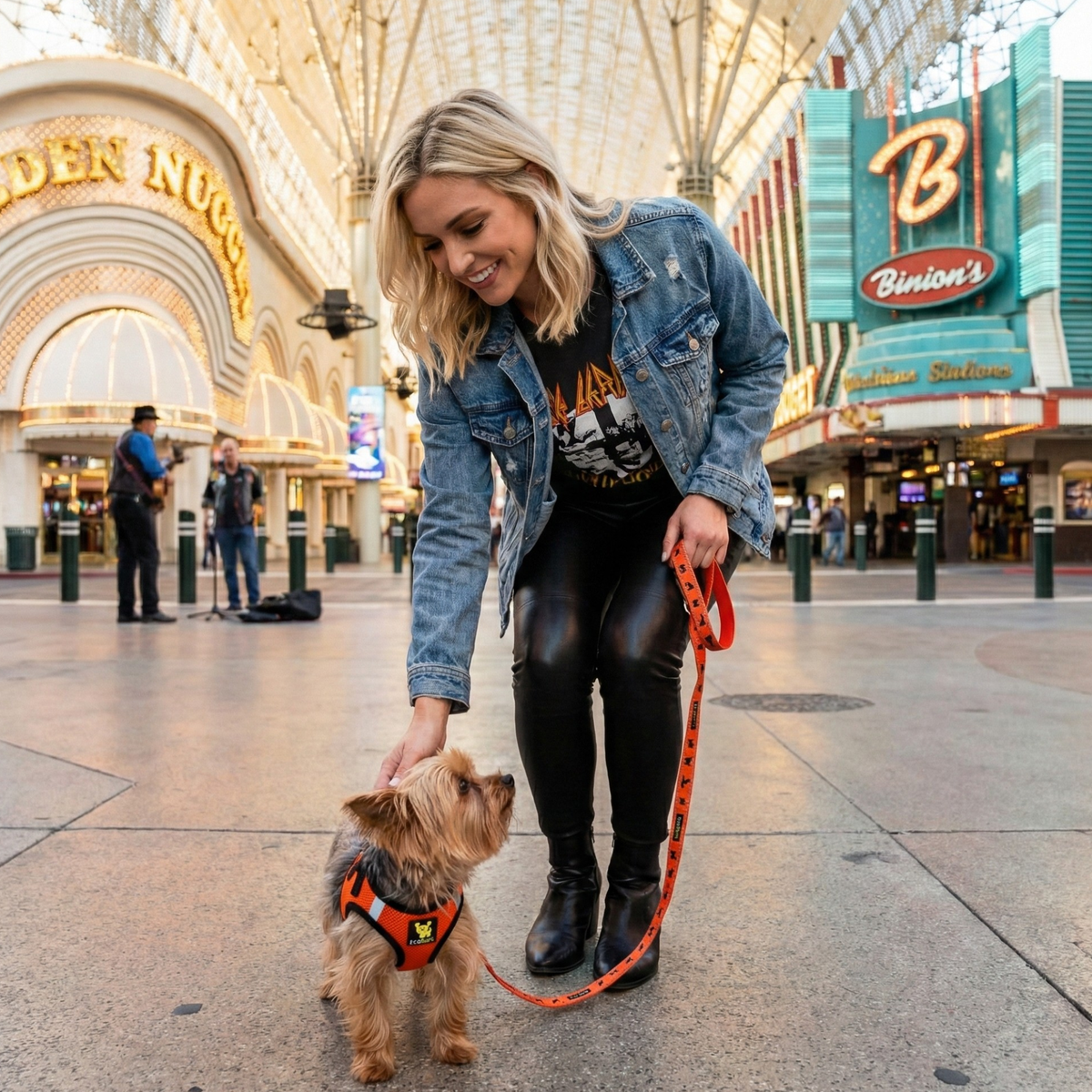 Step-In Dog Harness, Reflective Mesh, Orange