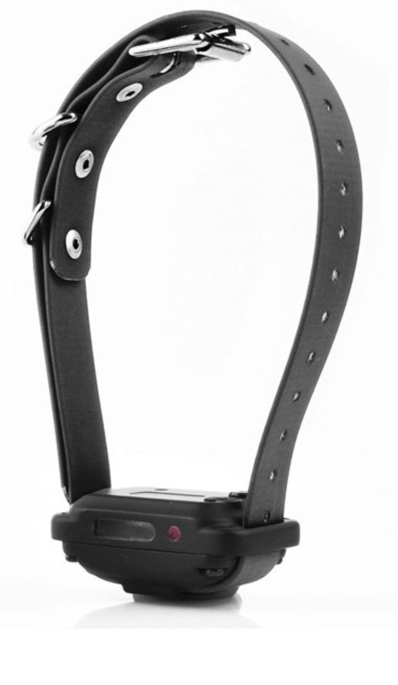 PG-300 pager only vibration receiver