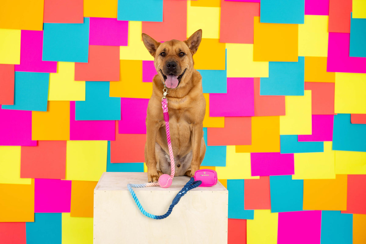 Maddox Rope Dog Leash