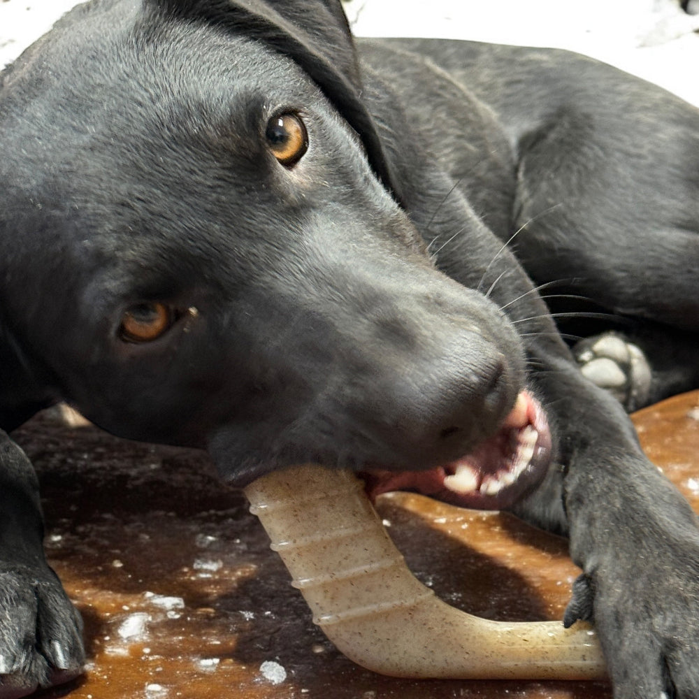 Hockey Stick Nylon Chew Toy