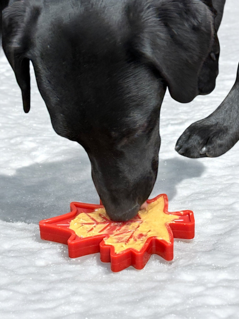 Canadian Maple Leaf Nylon Chew Toy