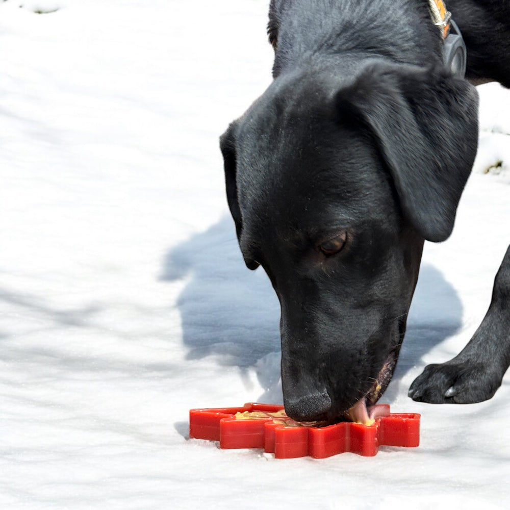 Canadian Maple Leaf Nylon Chew Toy