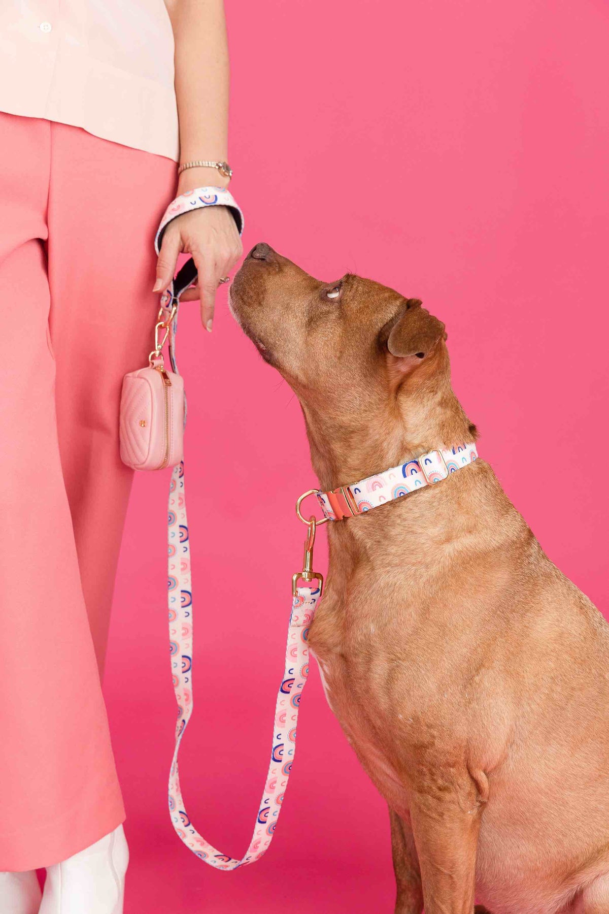 Clarke Dog Leash