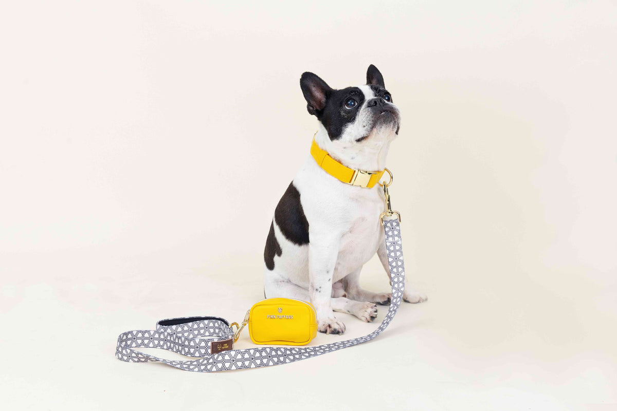 Avery Dog Leash