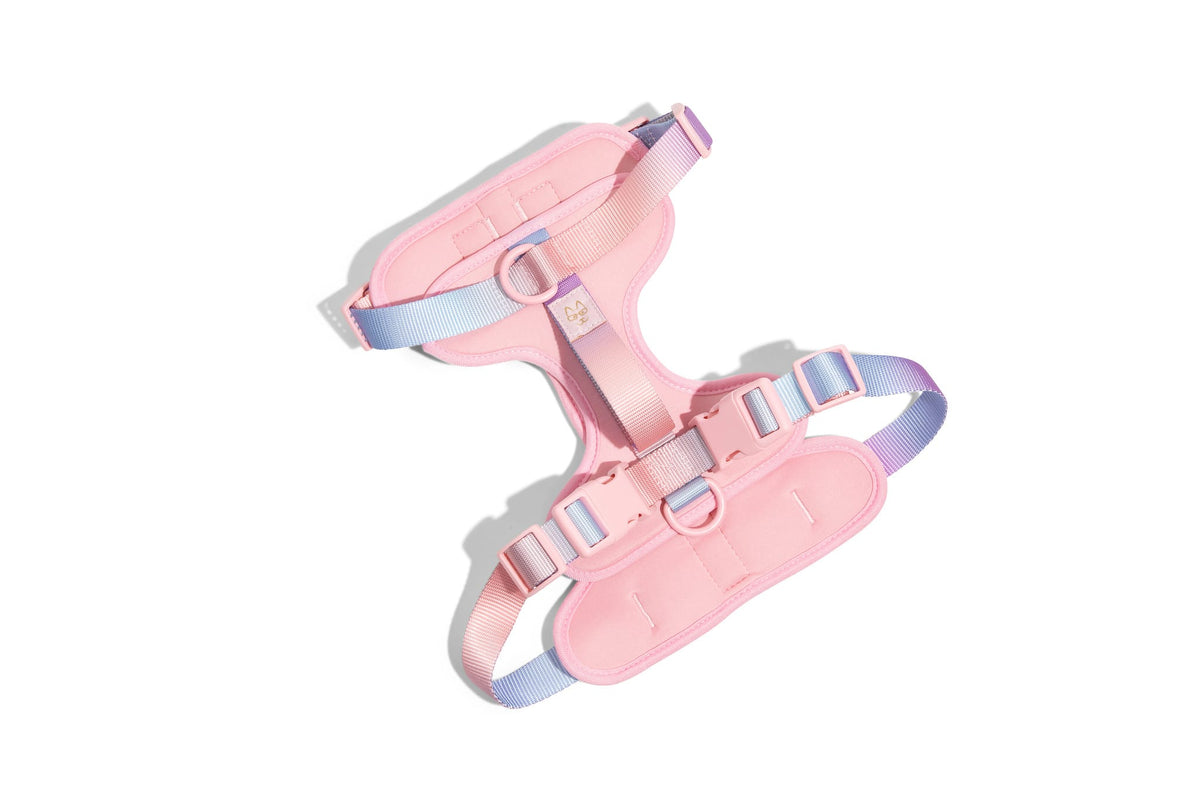 Diem Dog Harness in pink with a back handle and adjustable fit, Pink Papyrus Co., sold through Sniff and Shift
