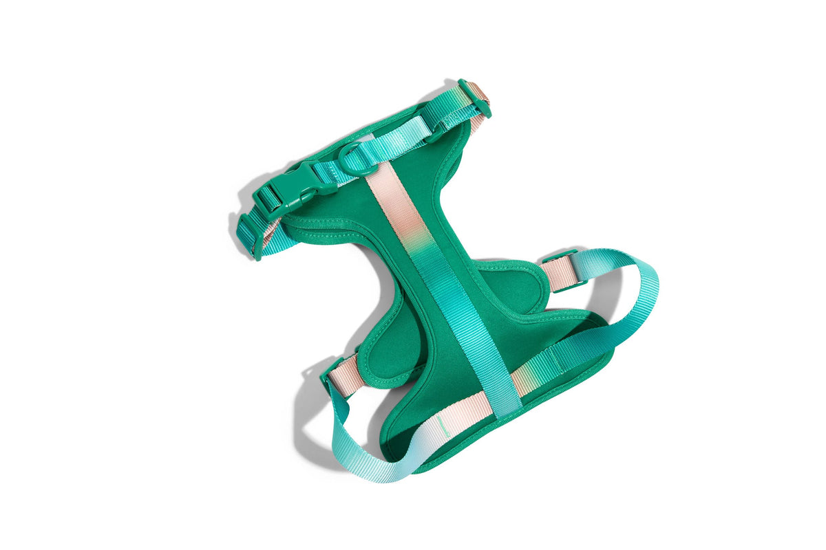 Parker Dog Harness
