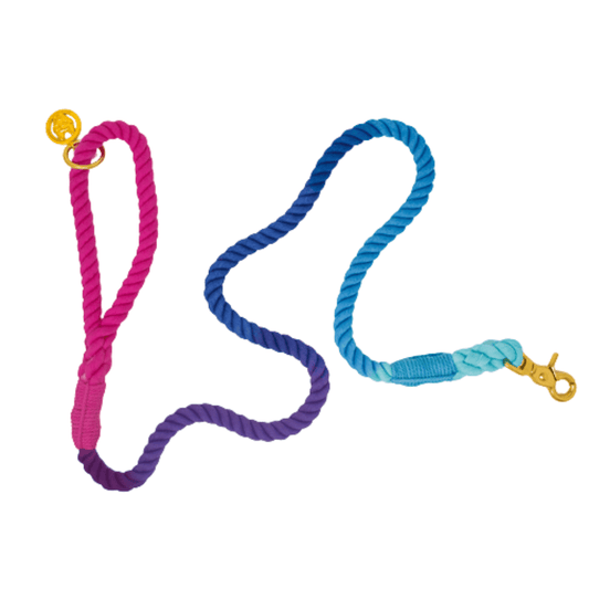 Pixie Rope Dog Leash, Pink Papyrus Co., sold through Sniff and Shift