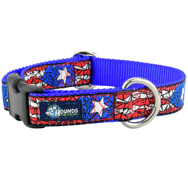 Puerto Rico Essential Martingale Dog Collar 1″ by 2 Hounds Design, sold through Sniff and Shift
