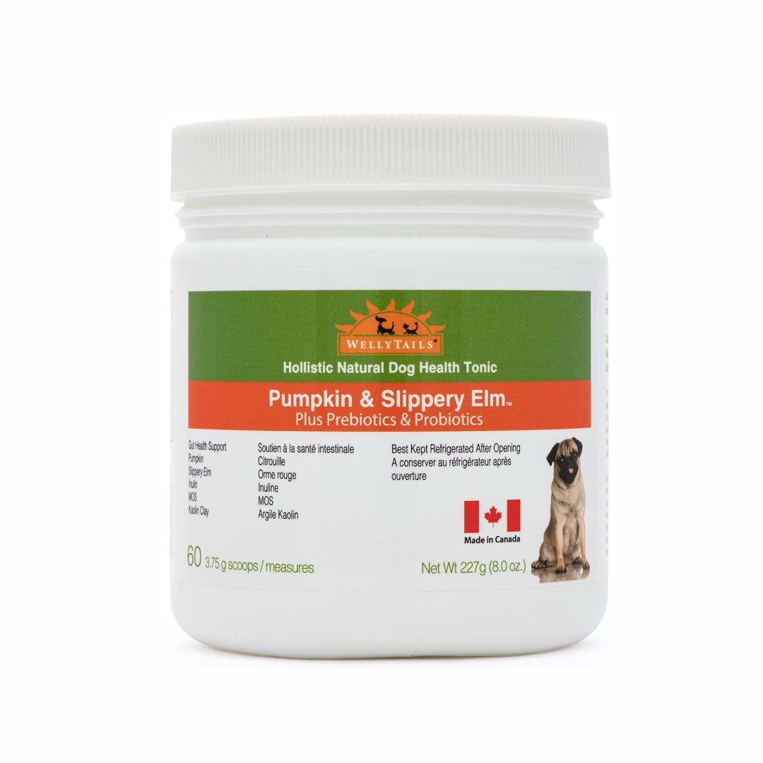 WellyTails Pumpkin & Slippery Elm with Probiotics & Prebiotics package for dogs