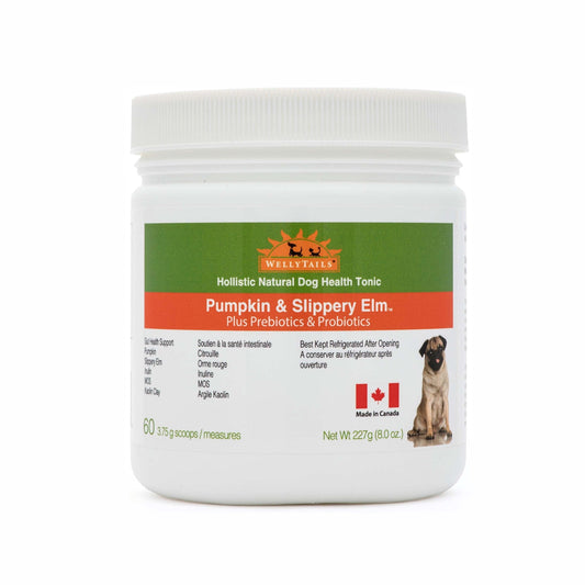 WellyTails Pumpkin & Slippery Elm with Probiotics & Prebiotics package for dogs