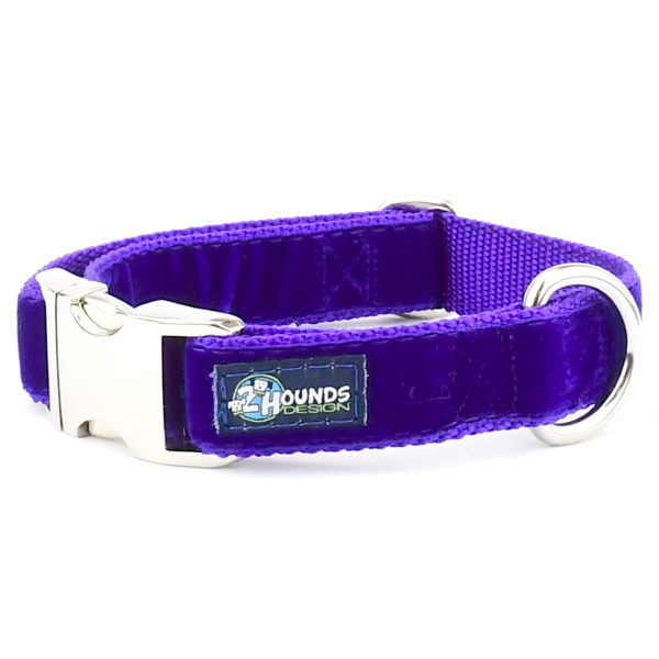 Purple Velvet Essential Martingale Dog Collar by 2 Hounds Design, sold through Sniff and Shift