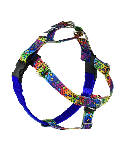 ROY G BIV EarthStyle Freedom No-Pull Dog Harness by 2 Hounds Design, sold through Sniff and Shift